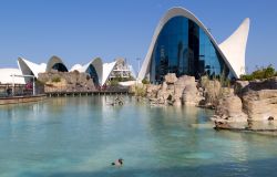 La grande piscina del Parco Oceanografico di Valencia in Spagna - © Andrei Rybachuk / Shutterstock.com 