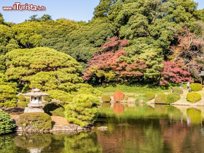 Immagine Il Shinjuku Gyoen National Garden, uno dei giardini più spettacolari di Tokyo, famoso anche per la fioritura dei ciliegi - © Takashi Images / Shutterstock.com