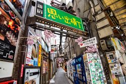 Il Quartiere a Luci Rosse di Tokyo, Kabukicho - © Hit1912 / Shutterstock.com 