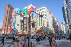 Le colorate strade del moderno quartiere di Shinjuku in centro a Tokyo - © TungCheung / Shutterstock.com 
