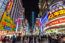 Passeggiata serale nel cuore del quartiere Shinjuku a Tokyo - © MADSOLAR / Shutterstock.com 