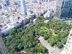 Shinjuku Central Park, il polmone verde del quartiere di Tokyo