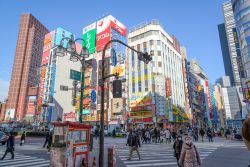 Le colorate strade del moderno quartiere di Shinjuku in centro a Tokyo - © TungCheung / Shutterstock.com 