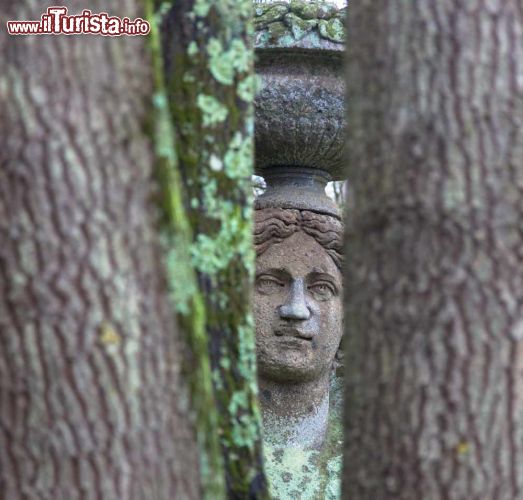 Immagine Passeggiata nel Sacro Bosco di Bomarzo, la Vila delle Meraviglie e dei mostri