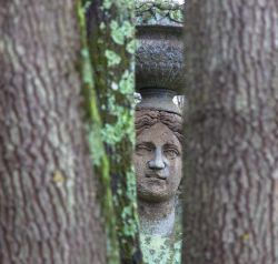 Passeggiata nel Sacro Bosco di Bomarzo, la Vila delle Meraviglie e dei mostri