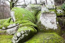 Una grande statua nel Parco di Mostri di Bomarzo