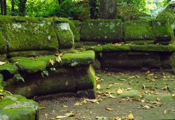 Una panchina ricoperta da muschio nel Sacro Bosco di Bomarzo (Lazio)