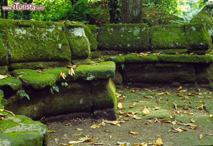 Immagine Una panchina ricoperta da muschio nel Sacro Bosco di Bomarzo (Lazio)