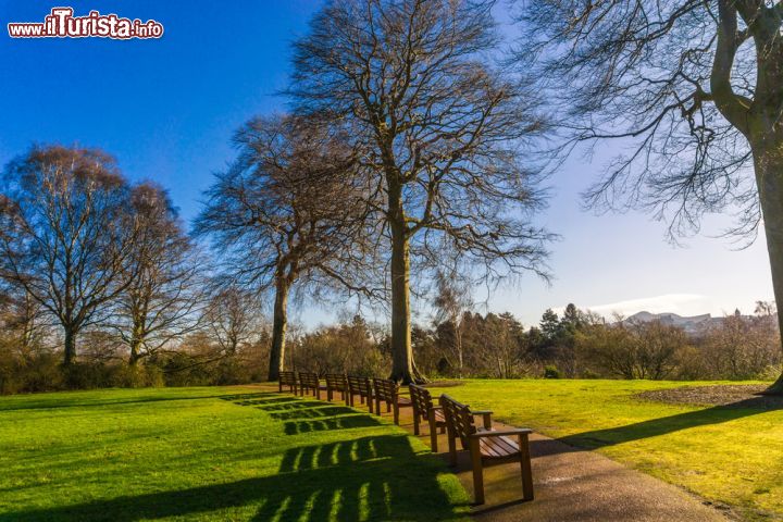 Immagine Passeggiata invernale nel parco del Giardino Botanico Reale a Edimburgo