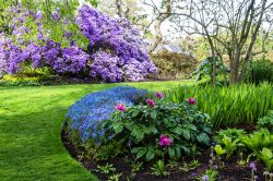 Il momento della fioritura primaverile ai Roya Botanical Gardens di Edimburgo