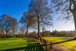 Passeggiata invernale nel parco del Giardino Botanico Reale a Edimburgo