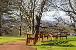 Una giornata di sole invernale al Giardino Botanico Reale di Edimburgo