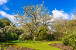 Il giardino Botanico Reale di Edimburgo in una splendida giornata di sole in Scozia