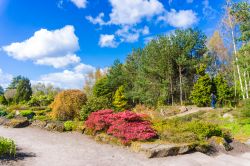 La visita al Royal Botanic garden di Edimburgo in primavera, durante il momento della fioritura