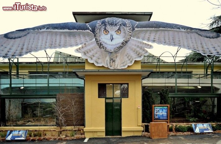 Immagine Ingresso dell'Area Gufi al Bioparco di Roma, lo zoo della capitale