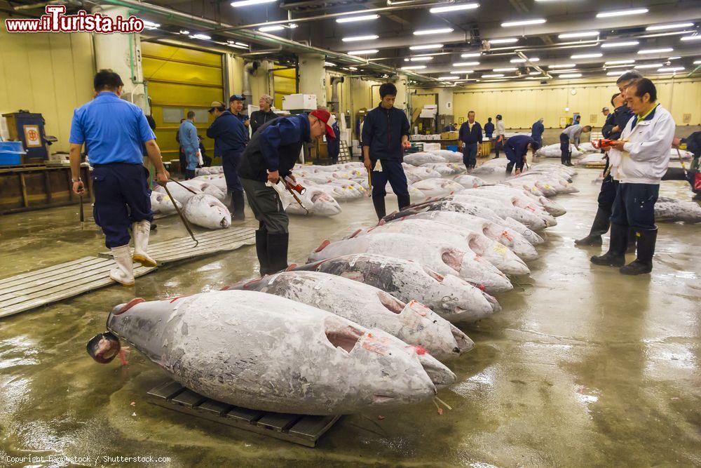 Immagine L'Asta del tonno è uno dei momenti topici che potete seguire al mercato del pesce  Tsukiji  a Tokyo. E' necessario prenotarsi, e in alcuni periodi dell'anno i turisti non sono ammessi - © happystock / Shutterstock.com