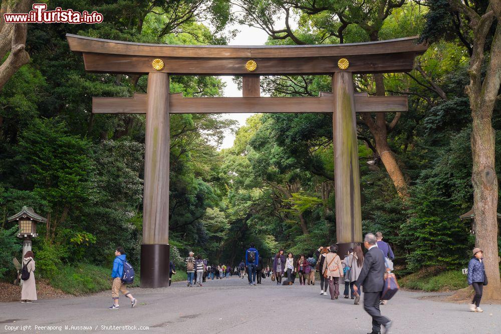 Immagine Il portale di accesso al santuario Meiji di Tokyo: siamo nel parco Yoyogi e il tempio è dedicato al 122° imperatore e sua consorte - © Peerapong W.Aussawa / Shutterstock.com