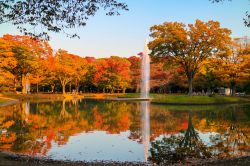 Giochi d'acqua e poesia d'autunno al parco Yoyogi di Tokyo