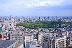 Vista aerea di Yoyogi Park circondato dalle case del centro di Tokyo - © Tupungato / Shutterstock.com