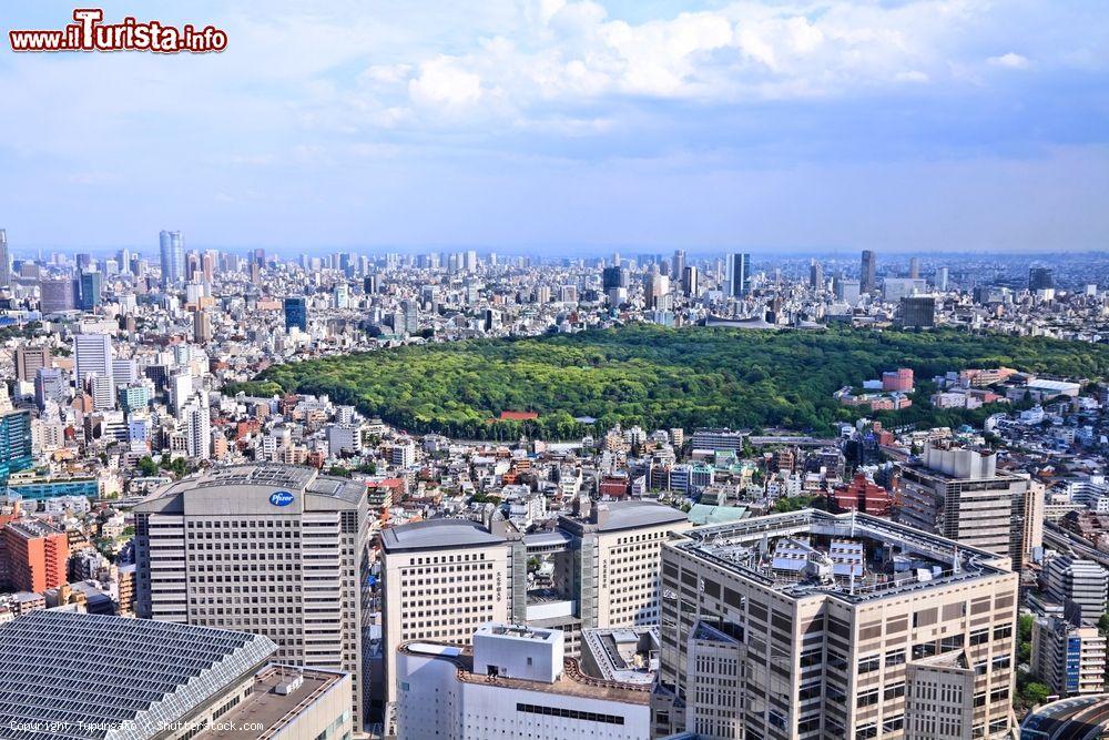 Cosa vedere e cosa visitare Yoyogi Park