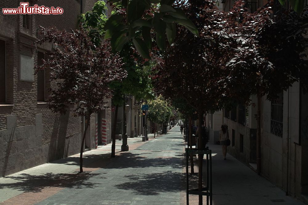 Immagine Calle las Huertas la strada nel quartiere omonimo in centro a Madrid - © Frans Drewniak - CC BY-SA 2.0 - Wikipedia