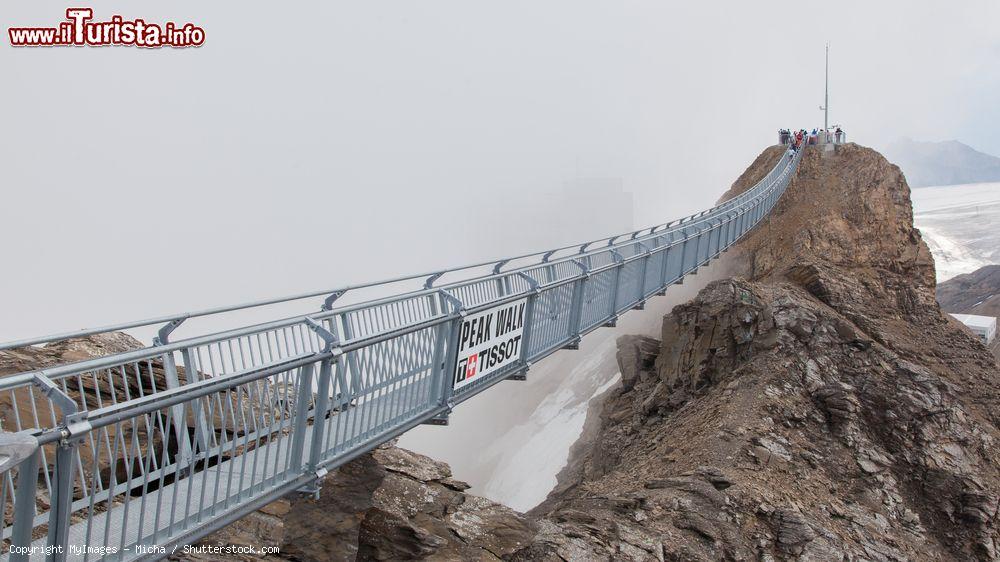Immagine Fino a 150 persone alla volta possono camminare sul Ponte sospeso di Glacier 3000 in Svizzera - © MyImages - Micha / Shutterstock.com