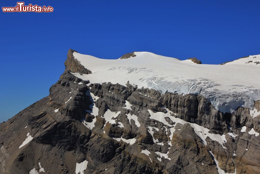 Immagine Glacier des Diablerets il ghiacciaio che si può ammirare dal ponte sospeso di Glacier 3000.