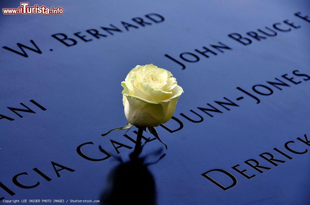 Immagine Una rosa tra i nomi delle vittime dell'attentato dell 11 settembre 2001 a New York City - © LEE SNIDER PHOTO IMAGES / Shutterstock.com