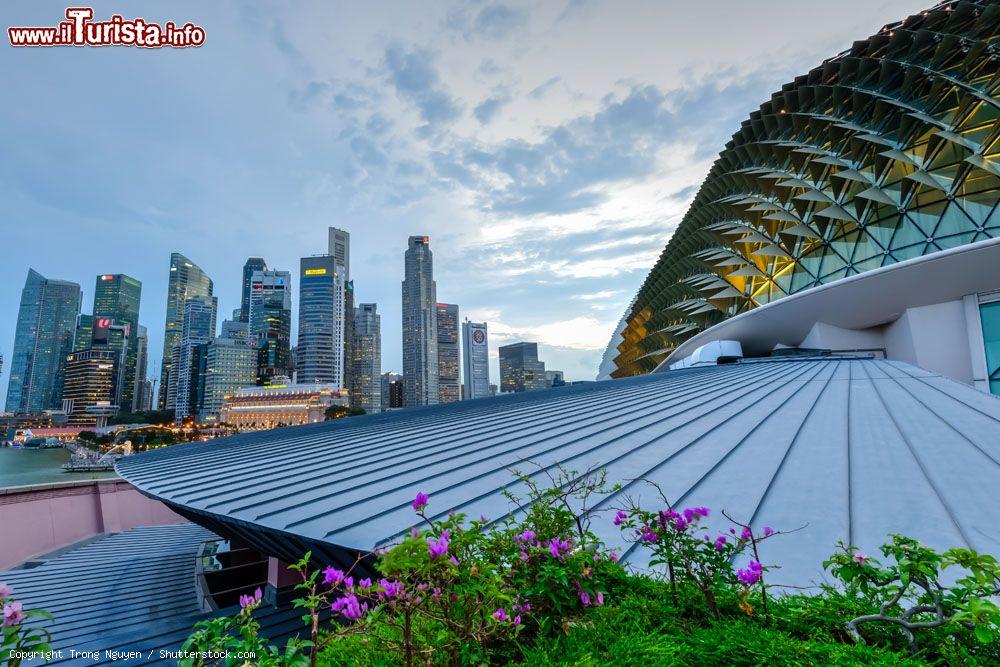 Immagine Uno scorcio dell'architettura del complesso Esplande Theaters on the Bay che caraterizza la Skyline di SIngapore - © Trong Nguyen / Shutterstock.com