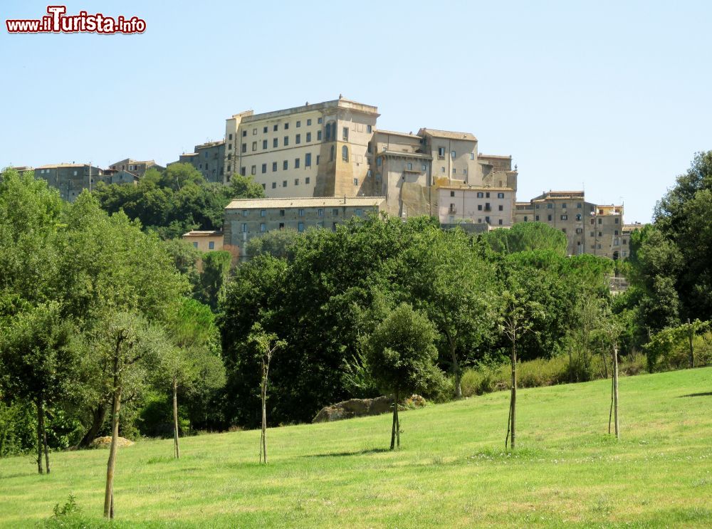 Immagine L'edificio imponente di Palazzo Orsini a Bomarzo, fotografato dalla zona del Sacro Bosco - © Etienne (Li) - CC BY-SA 4.0 -Wikipedia