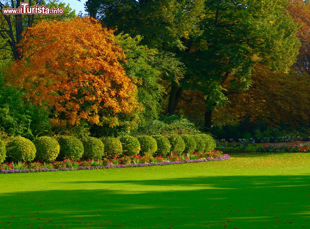Immagine La visita al parco dei Giardini del Lussemburgo a Parigi