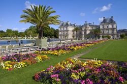 Aiuole fiorite ai Jardin du Luxembourg in centro a Parigi - © chrisdorney / Shutterstock.com