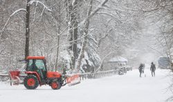 Una abbondante nevicata nel parco dell'Englischer Garten a Monaco di Baviera