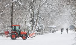 Una abbondante nevicata nel parco dell'Englischer ...