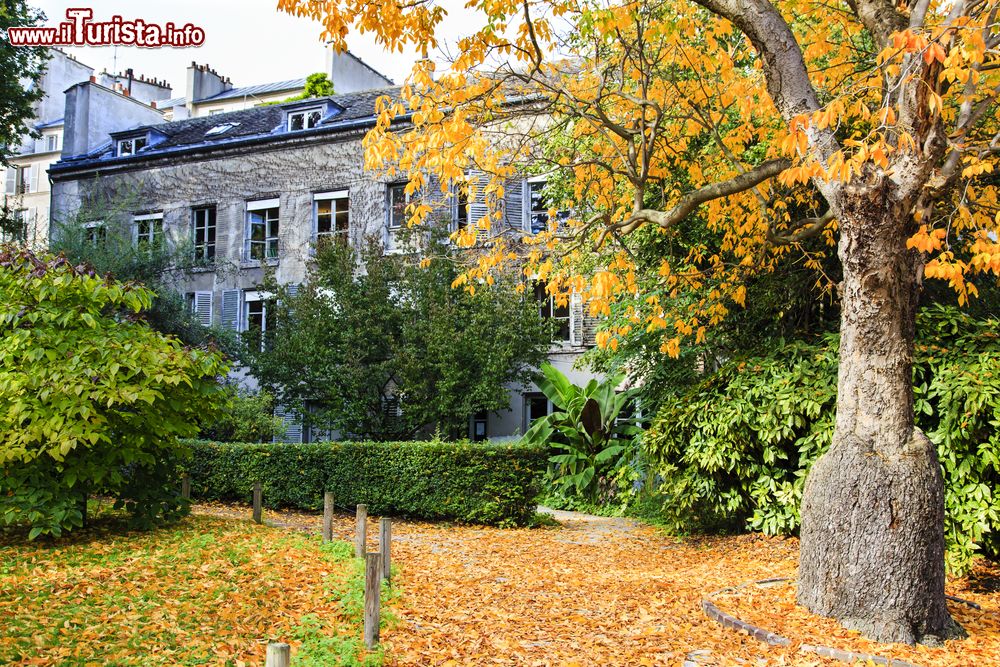 Immagine Foliage autunnale al Jardin des Plantes di Parigi