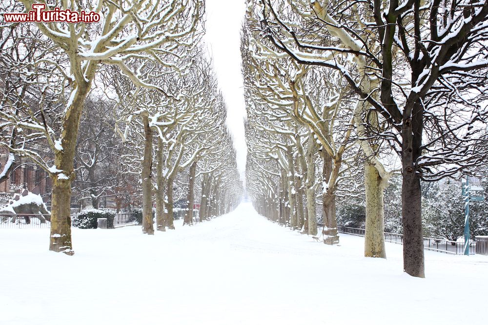 Immagine Inverno con abbondante nevicata al Jardin des Plantes di Parigi