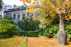 Foliage autunnale al Jardin des Plantes di Parigi