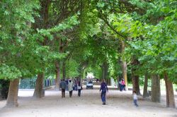 Turisti in visita al Giardino delle Piant in centro a Parigi  - © Tupungato / Shutterstock.com