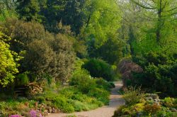 Uno scorcio del giardino alpino, barte dell'orto botanico dei Jardin des Plantes a Parigi
