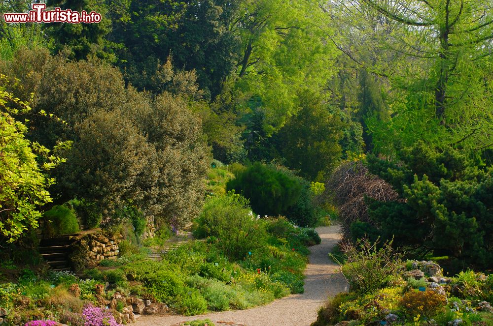 Immagine Uno scorcio del giardino alpino, barte dell'orto botanico dei Jardin des Plantes a Parigi