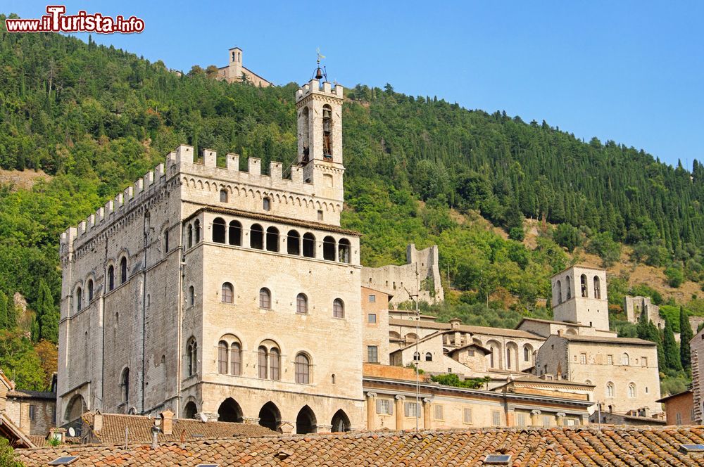 Cosa vedere e cosa visitare Palazzo dei Consoli