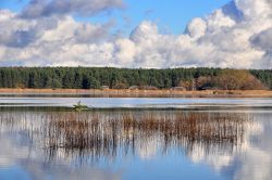 paesaggio della Lettonia sul lago Juglas nei pressi del museo Etnografico di Riga