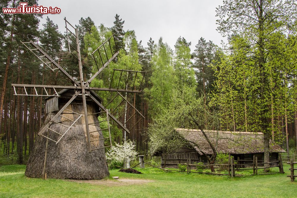 Immagine Un tradizionale mulino a vento in legno al Museo Etnografico Lettone di Riga