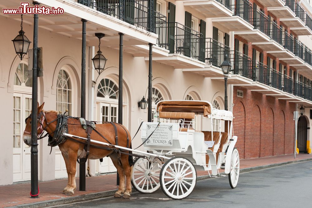 Immagine Un'elegante carrozza trainata da cavalli nel quartiere francese a New Orleans, USA.