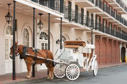 Un'elegante carrozza trainata da cavalli nel quartiere francese a New Orleans, USA.

