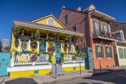Vecchie case coloniali sulla strada del quartiere francese di New Orleans, USA. Le ricche decorazioni sono quelle del Mardi Gras, ovvero il tradizionale carnevale della città della Louisiana.




 ...