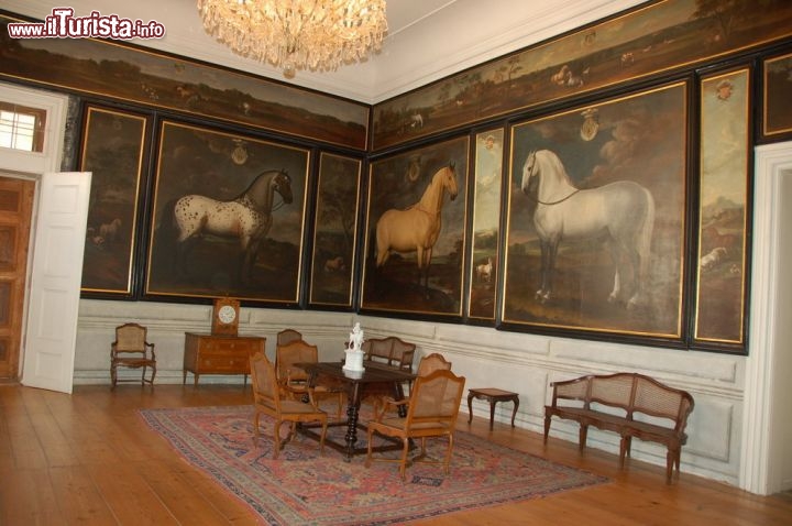 La sala dei Cavalli