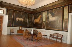 La sala dei Cavalli
