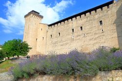 Fioritura di lavanda a fianco della Rocca Albornoziana di Spoleto (Umbria)