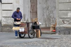 Un venditore di caldarroste nel borgo antico di Venaria Reale in Piemonte - © Joe Dejvice / Shutterstock.com